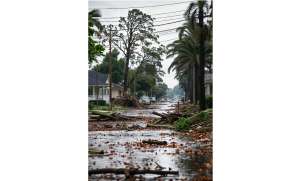 The Surprising Way Heavy Rain Could Be Damaging Your Neighborhood The Surprising Way Heavy Rain Could Be Damaging Your Neighborhood